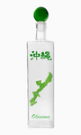 Okinawa Souvenir Bottles (Square)